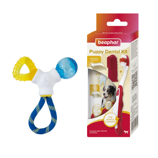 Puppy Dental Bundle: Beaphar Toothbrush Kit & JW Connects 3-in-1 Teething Chew T 19416