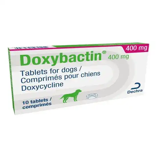 Doxybactin Tablets for Dogs 400mg 3290