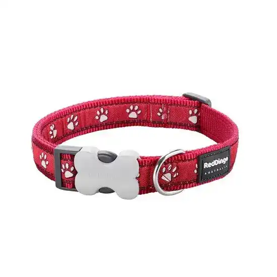 Red Dingo Desert Red Paw Print Dog Collar 17078