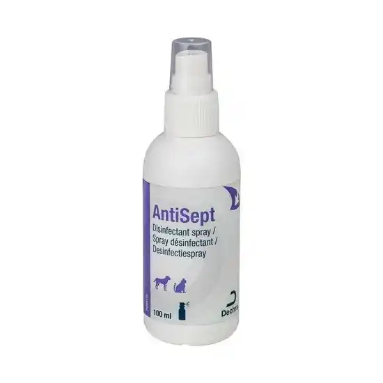 Dechra AntiSept Disenfectant Spray for Dogs & Cats 10650