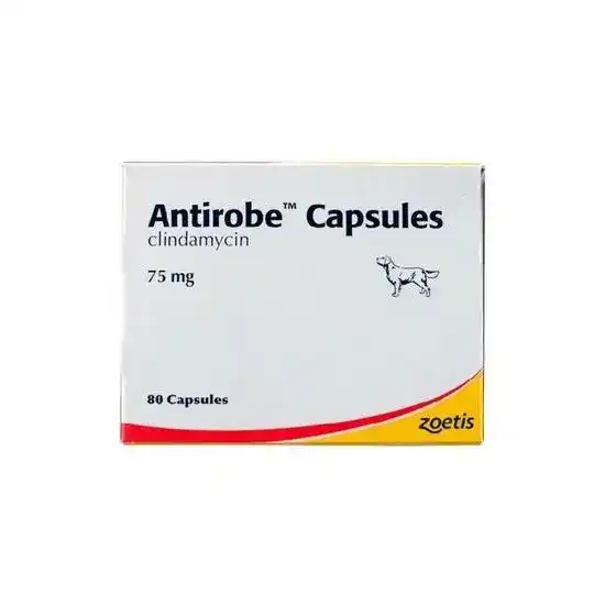 Antirobe Capsules for Dogs 75mg 2957