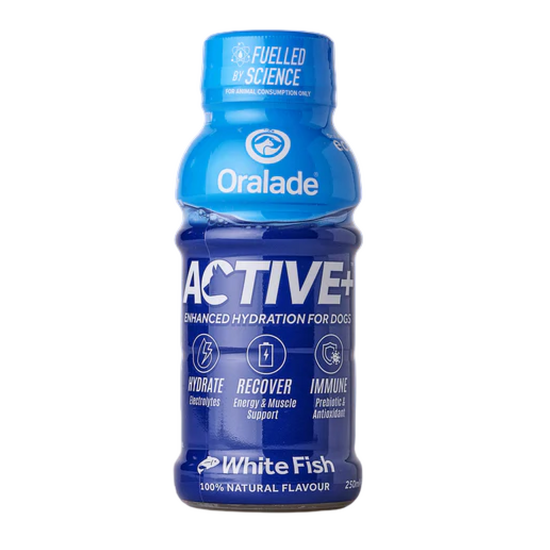 Oralade Active+ Dog Hydration Liquid White Fish Flavour 20497