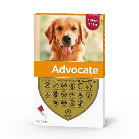 Advocate Spot-On Solution for Large Dogs 250mg/62.5mg (10kg-25kg) 2951