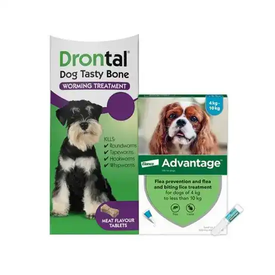 12-Month Flea & Worm Treatment for Dogs 4kg - 40kg: Advantage Spot-On & Drontal 18734