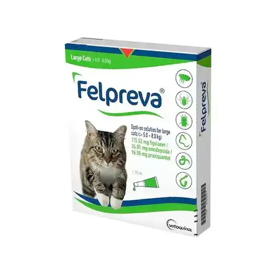 Felpreva Spot-On Solution for Large Cats (5kg-8kg) 16420