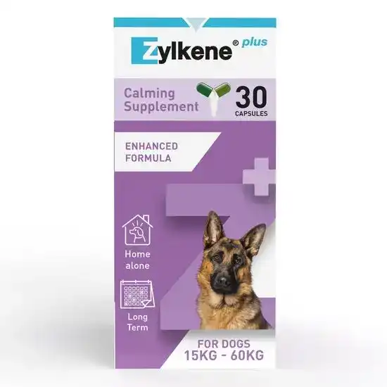 Zylkene Plus Calming Supplement Capsules for Large Dogs (15kg-60kg) 450mg 30 Capsules 16192