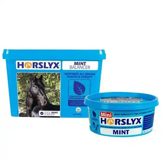 Horslyx Mint Horse Balancer Lick 19852