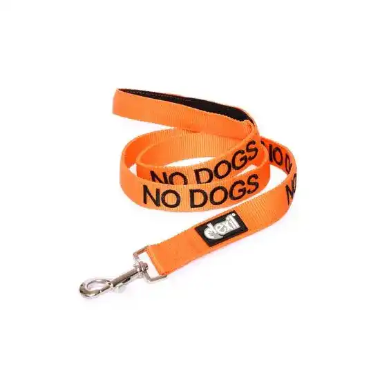 Dexil No Dogs Awareness Dog Lead Orange 18605