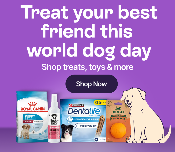 Treat your best friend this world dog day