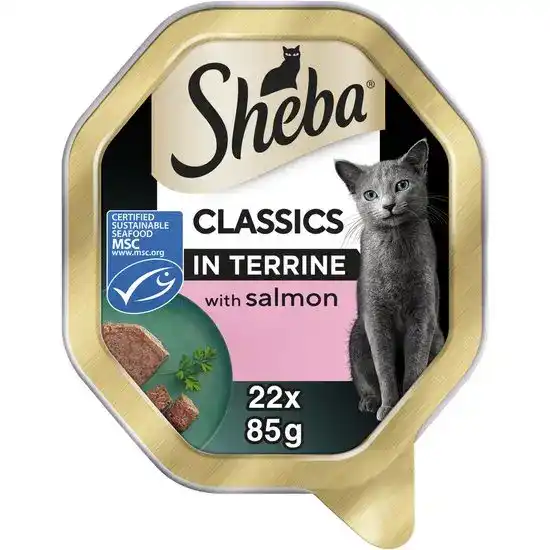Sheba Classics Adult Wet Cat Food with Salmon in Terrine 22 x 85g Trays 17983