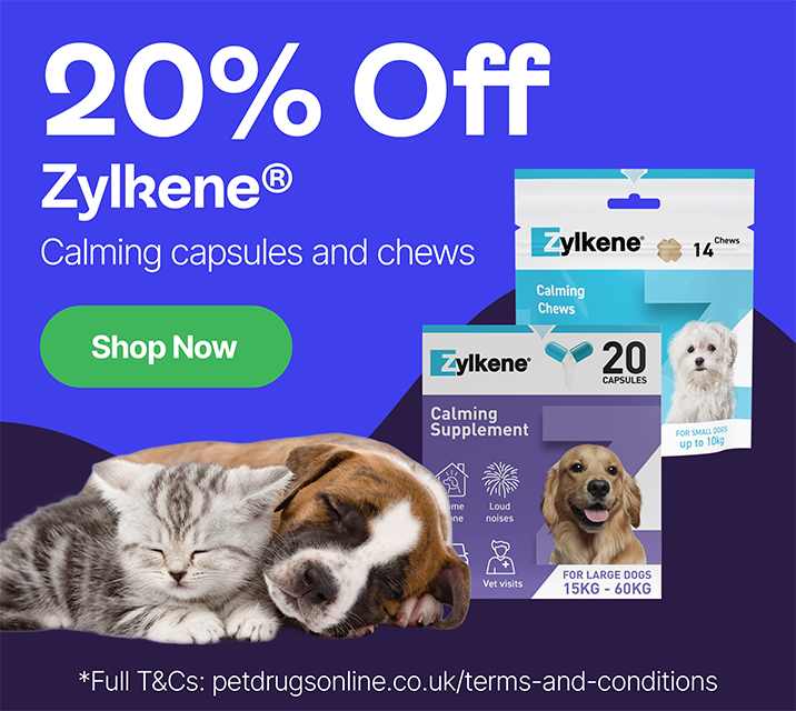 20% Off* Zylkene Capsules & Chews*