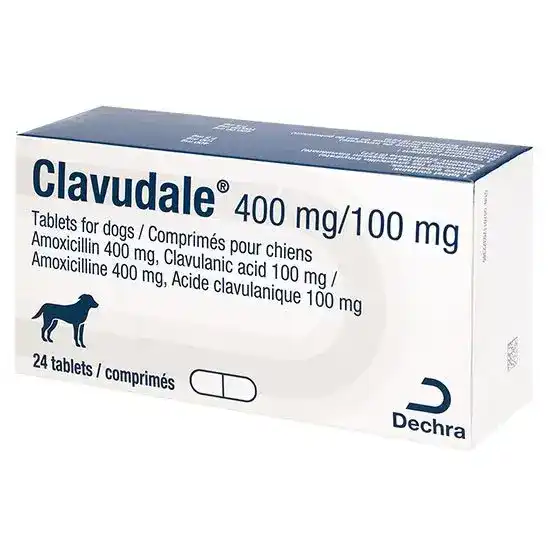 Clavudale Tablets for Dogs 400mg/100mg 2548