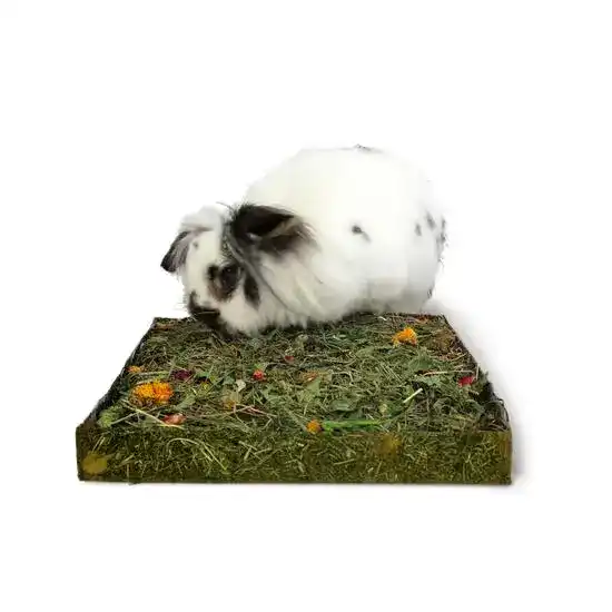 Rosewood Naturals Nibble 'N' Dig Meadow Forage Small Animal Treat 1 Piece 19778