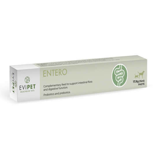Evipet Entero Paste for Digestive Function in Cats and Dogs 15837
