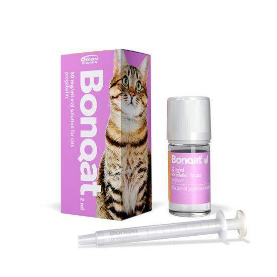 Bonqat Oral Solution for Cats 50mg/ml 19973