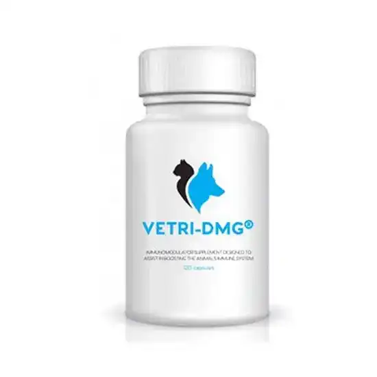 Vetri-DMG Immune System Supplement for Dogs & Cats 1420