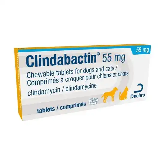 Clindabactin Chewable Tablets for Dogs & Cats 55mg 16571