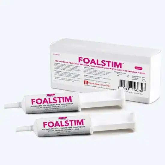 FoalStim Colostrum & Prebiotic Supplement Paste for Newborn Foals 1187