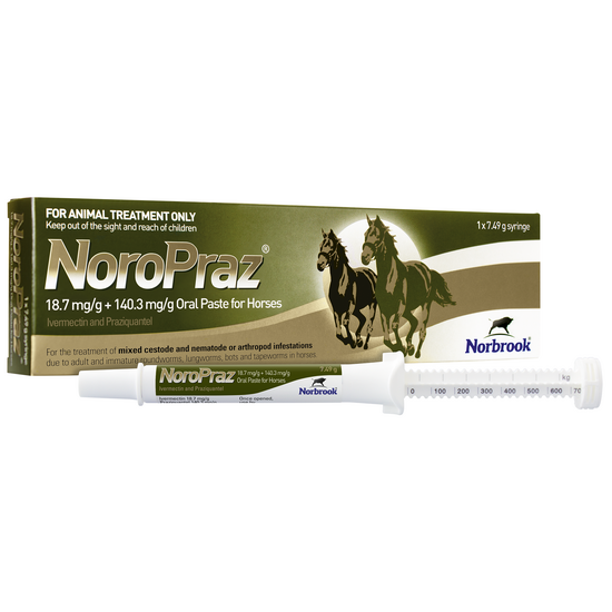 NoroPraz Oral Paste Wormer for Horses 18.7mg/g + 140.3mg/g 2606