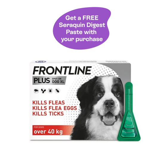 FRONTLINE PLUS Spot-On Flea and Tick Treatment for Extra Large Dogs (over 40kg) 9994