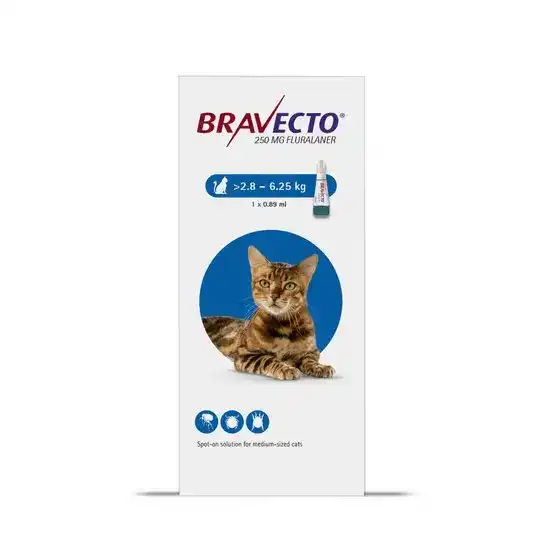 BRAVECTO Spot-On Solution for Medium Cats 250mg (2.8kg-6.25kg) 10226