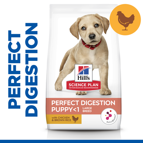 Hill's SCIENCE PLAN Specialty Large Breed Puppy Perfect Digestion Dry Dog Food with Chicken & Brown Rice 1077