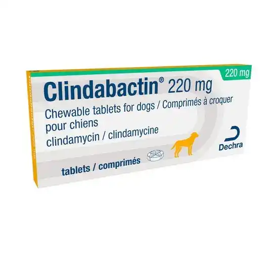 Clindabactin Chewable Tablets for Dogs 220mg 16570
