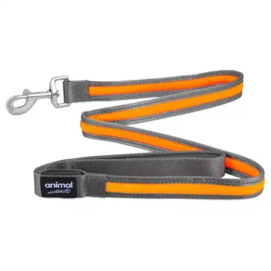 Animal Instincts Flashing Nylon Safety Lead for Dogs 10034