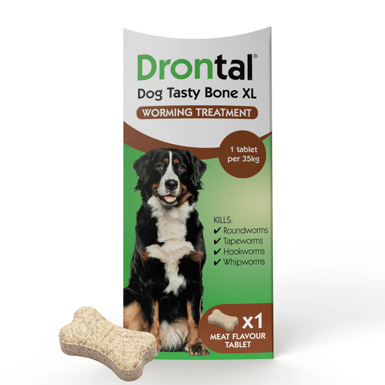 Drontal Tasty Bone XL Wormer Tablets for Large Dogs (Over 20kg) 2789
