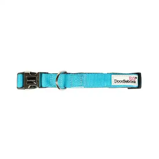 Doodlebone Padded Dog Collar Aqua 18806