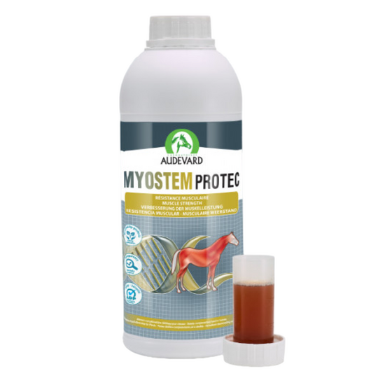 Audevard Myostem Protec Supplement for Horses 21139