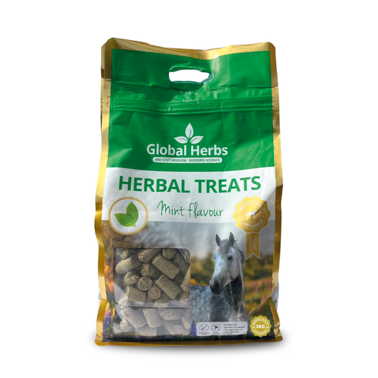 Global Herbs Herbal Horse Treats Mint 19732
