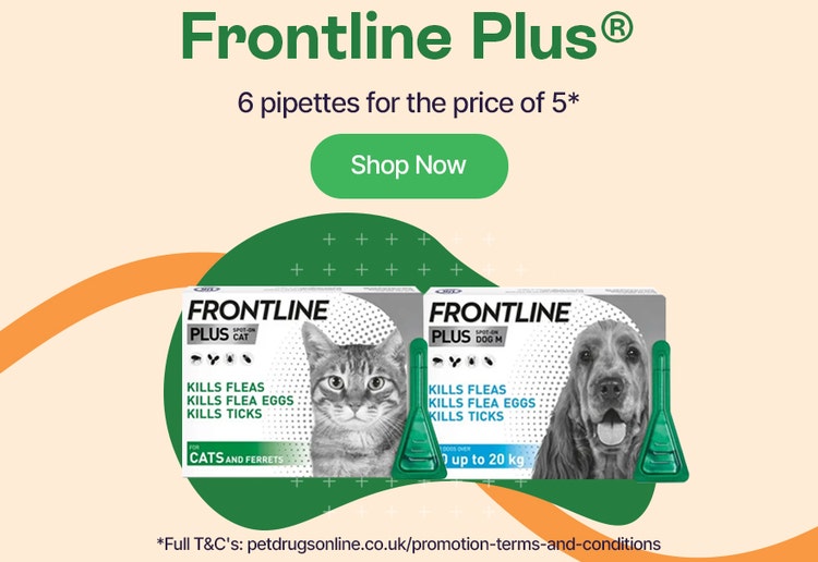 Frontline 6 pipettes for the price of 5*