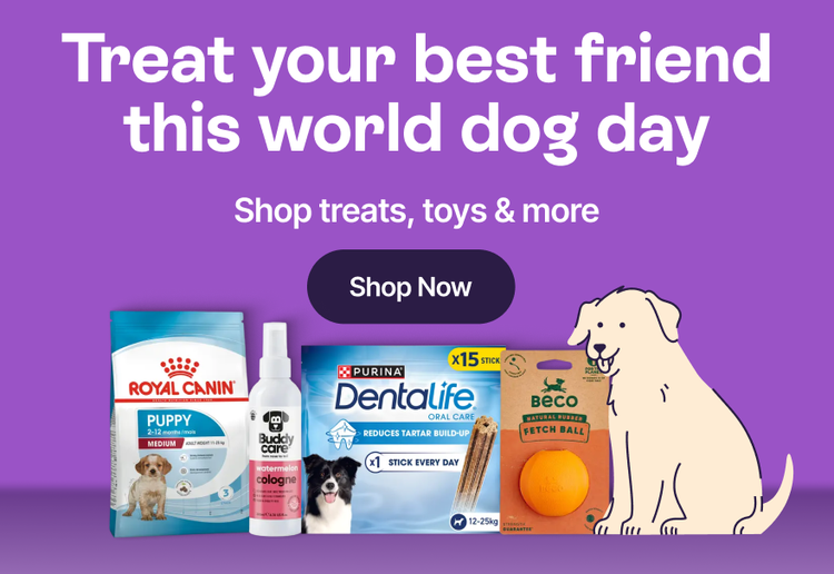 Treat your best friend this world dog day