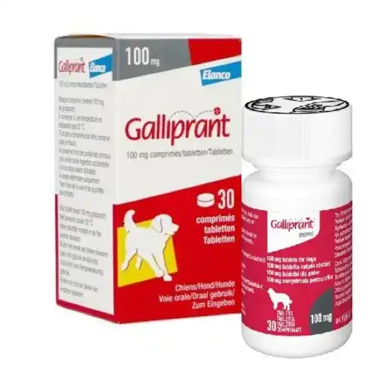 Galliprant Tablets for Dogs 100mg 13581