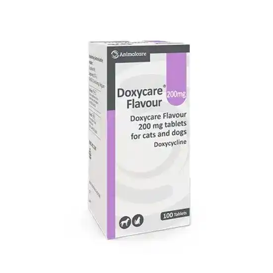 Doxycare Flavoured Tablets for Cats and Dogs 200mg 19101