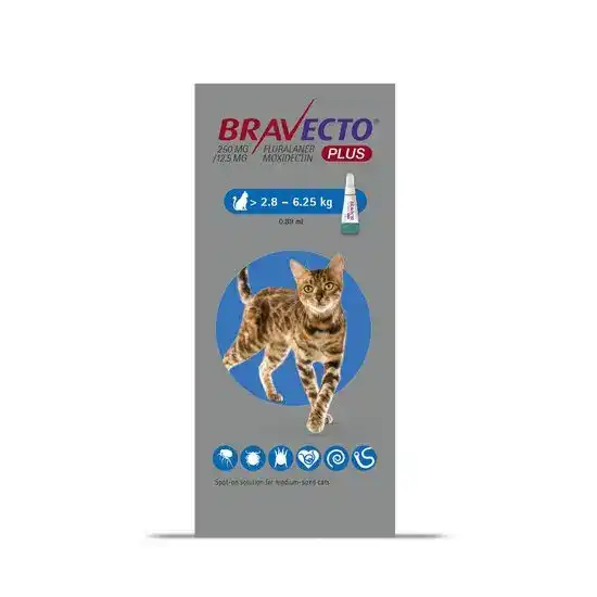 BRAVECTO PLUS Spot-On Solution for Medium Cats 250mg (2.8kg-6.25kg) 2234