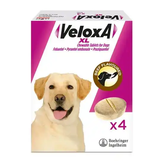 Veloxa XL Chewable Worming Tablets for Large Dogs 17.5kg-70kg 9229
