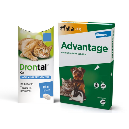 12-Month Flea & Worm Treatment for Cats up to 6kg: Advantage Spot On & Drontal W 18736