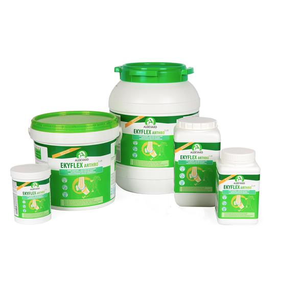 Audevard Ekyflex Arthro Evo Joint Support Complementary Pellets for Horses 4674