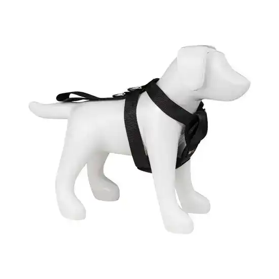 RAC 2 in 1 Car Safety & Walking Harness for Dogs 690