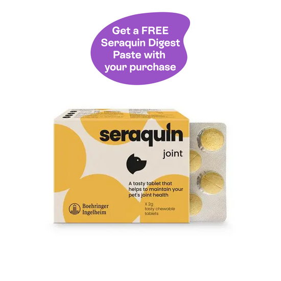 Seraquin Joint Chewable Tablets for Dogs (Over 10kg) 2g 907