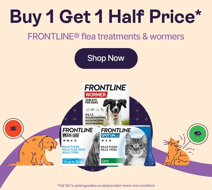 B1G1HP Frontline*