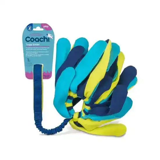 Coachi Tuggi Spider Dog Toy Navy