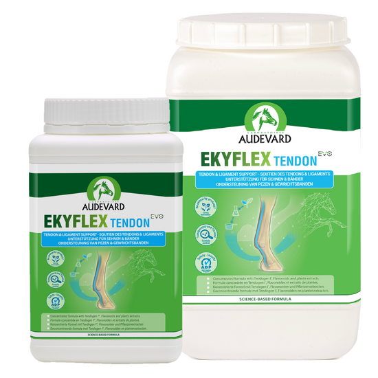 Audevard Ekyflex Tendon Evo Tendon and Ligament Nutritional Support Pellets for Horses 15849