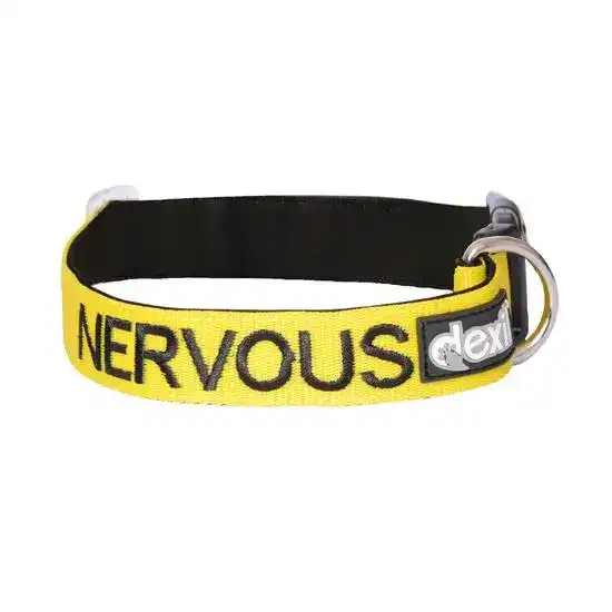 Dexil Nervous Awareness Dog Collar Yellow 18603