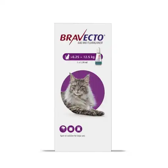 BRAVECTO Spot-On Solution for Large Cats 500mg (6.25kg-12.5kg) 10228