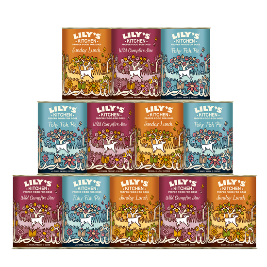 Lily's Kitchen Grain Free Adult Wet Dog Food Multipack 12 x 400g Cans 17684