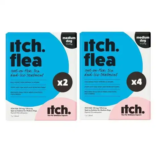 Itch Flea