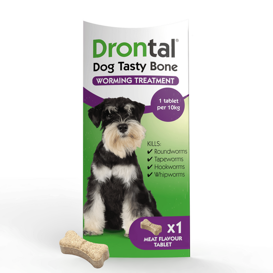 Drontal Tasty Bone Wormer Tablets for Small and Medium Dogs (2kg-20kg) 2881